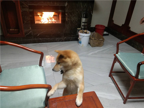 大連萬科溪之谷柳溪園morso S80-90壁爐安裝.jpg